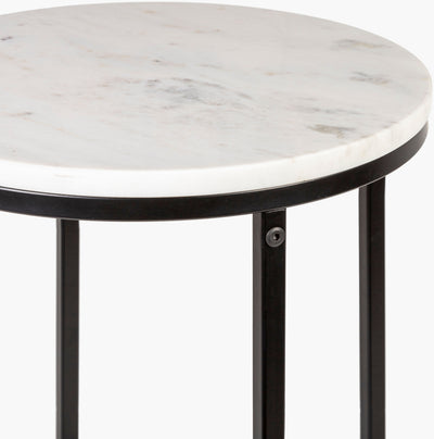 Surya Aryaa YAA-013 Furniture End Table by LIVABLISS