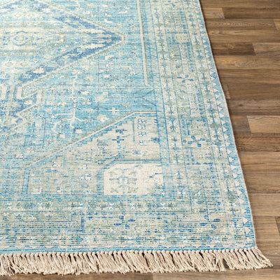 LIVABLISS Zainab ZAI-2304 Aqua Area Rug