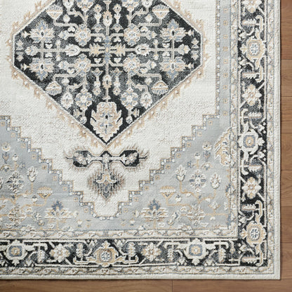 Surya Zidane ZDN-2300 White Area Rug by LIVABLISS