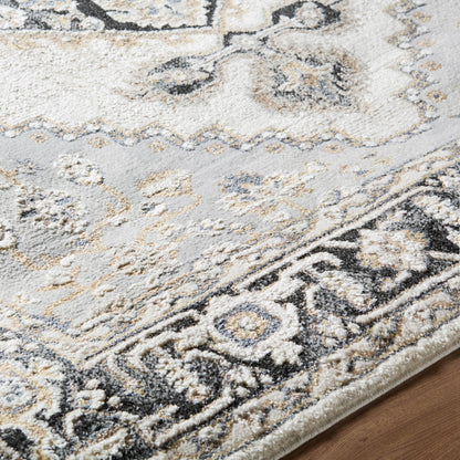 Surya Zidane ZDN-2300 White Area Rug by LIVABLISS
