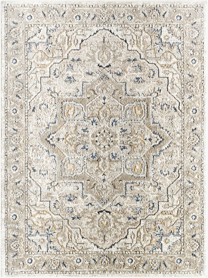 Surya Zidane ZDN-2301 Gray Area Rug by LIVABLISS