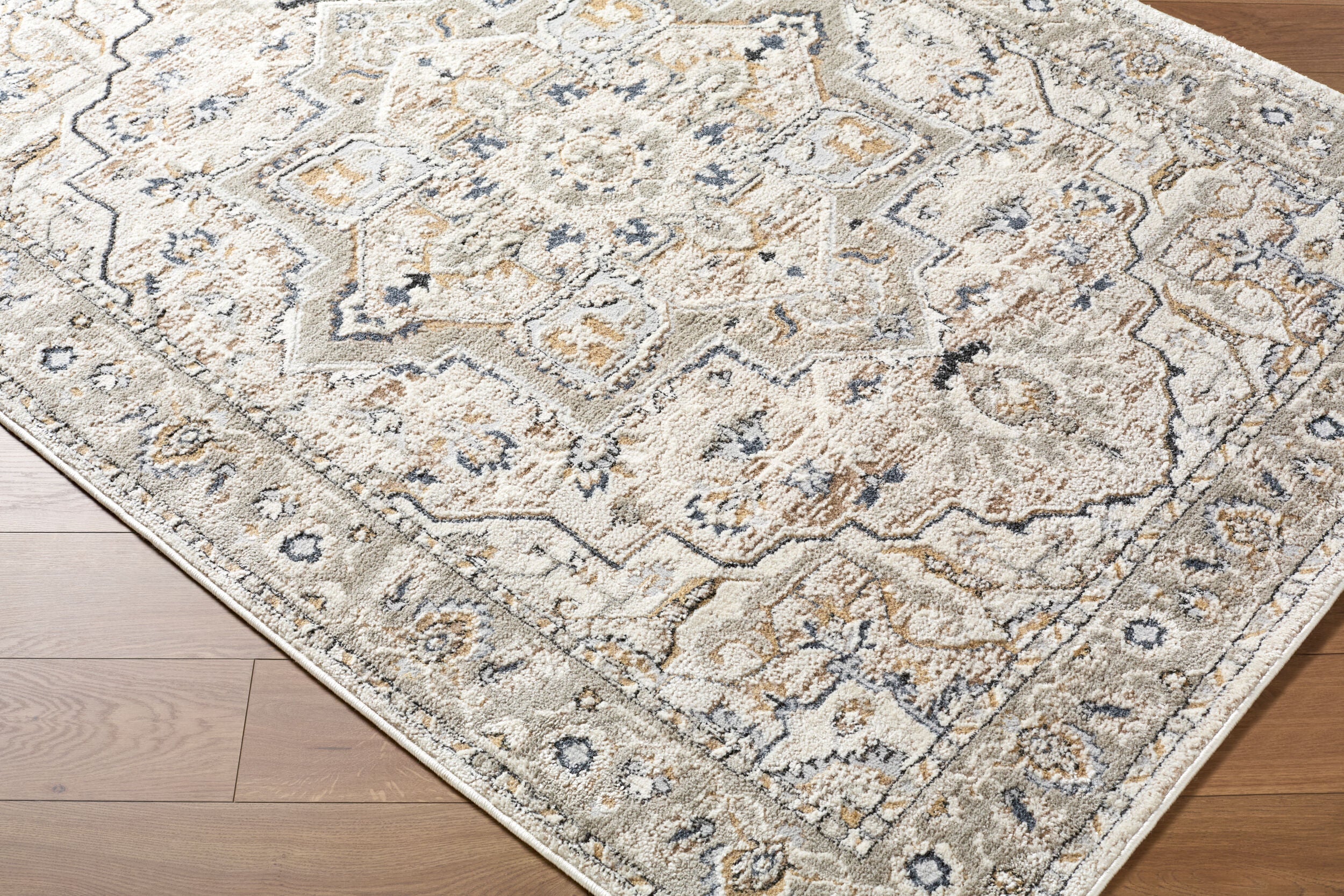 Surya Zidane ZDN-2301 Gray Area Rug by LIVABLISS