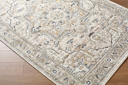 Surya Zidane ZDN-2301 Gray Area Rug by LIVABLISS