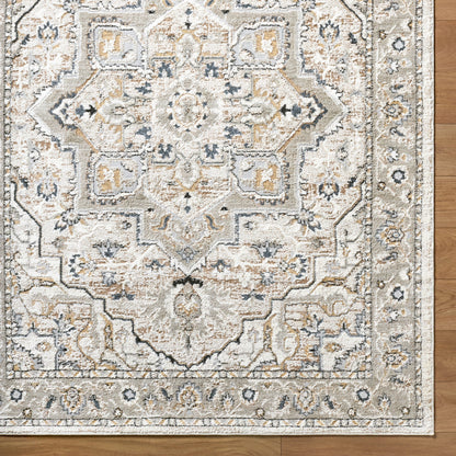 Surya Zidane ZDN-2301 Gray Area Rug by LIVABLISS