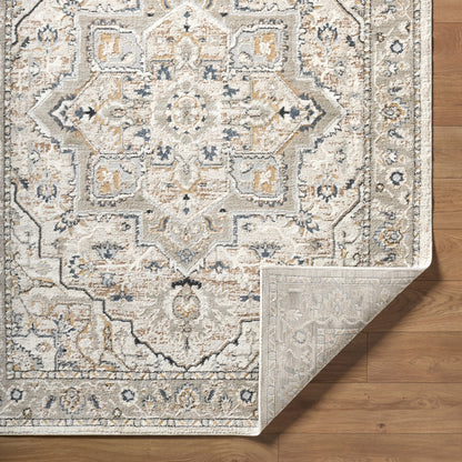 Surya Zidane ZDN-2301 Gray Area Rug by LIVABLISS