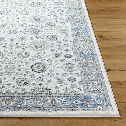 Surya Zidane ZDN-2302 White Area Rug by LIVABLISS