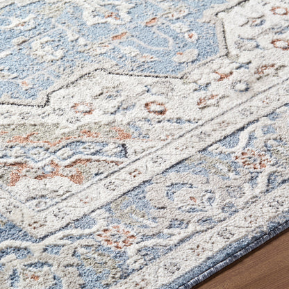 Surya Zidane ZDN-2307 Blue Area Rug by LIVABLISS