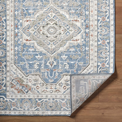 Surya Zidane ZDN-2307 Blue Area Rug by LIVABLISS