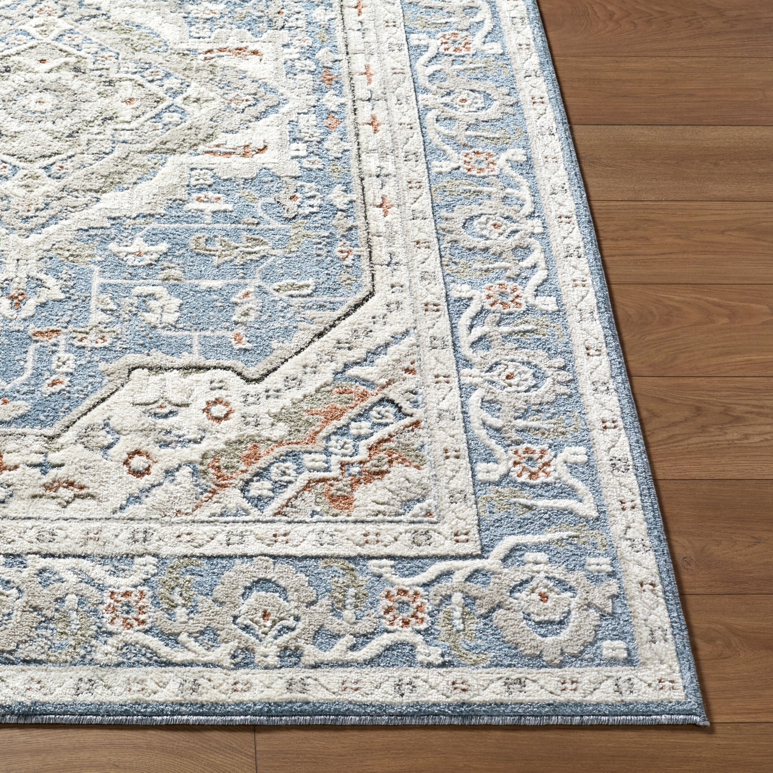 Surya Zidane ZDN-2307 Blue Area Rug by LIVABLISS