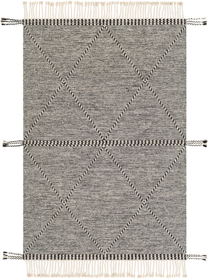 Surya Zanafi ZNF-2301 Black Area Rug by LIVABLISS