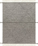 Surya Zanafi ZNF-2301 Black Area Rug by LIVABLISS