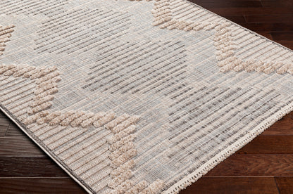 Surya Zaragoza ZRZ-2300 Medium Gray Area Rug by LIVABLISS
