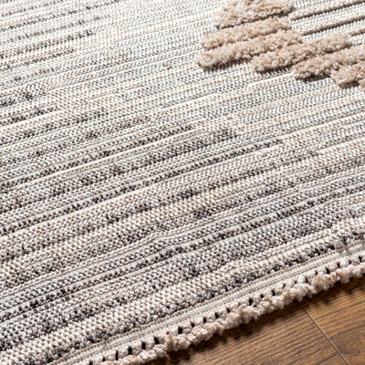 Surya Zaragoza ZRZ-2300 Medium Gray Area Rug by LIVABLISS