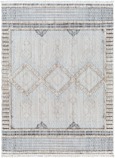 Surya Zaragoza ZRZ-2301 Cream Area Rug by LIVABLISS