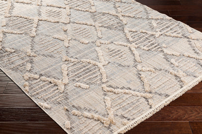 Surya Zaragoza ZRZ-2311 Medium Gray Area Rug by LIVABLISS