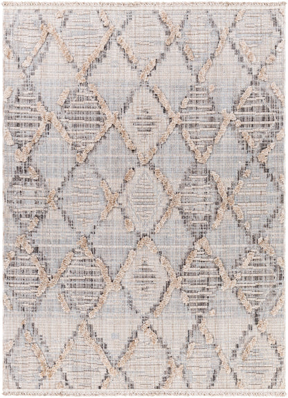 Surya Zaragoza ZRZ-2311 Medium Gray Area Rug by LIVABLISS