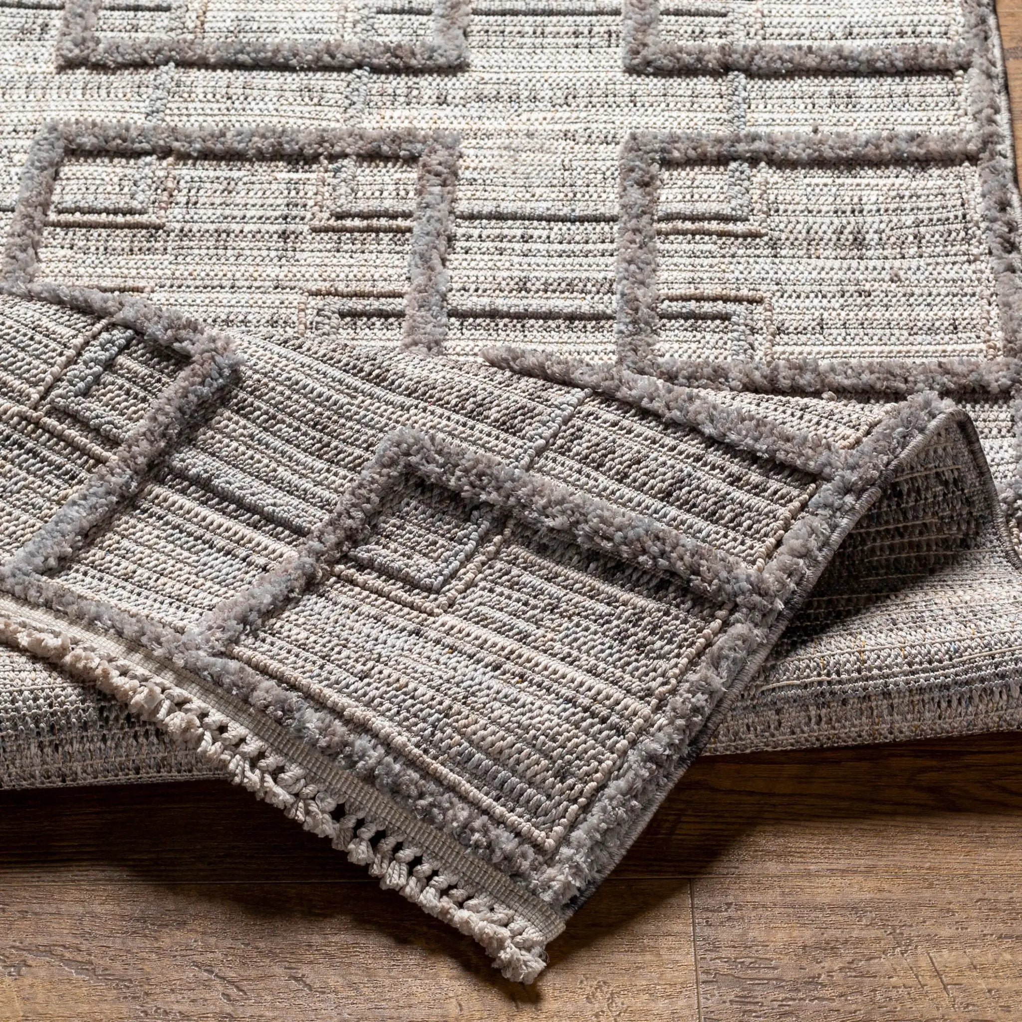 Zaragoza ZRZ-2314 Charcoal Area Rug by LIVABLISS