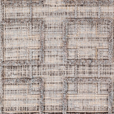 Surya Zaragoza ZRZ-2314 Charcoal Area Rug by LIVABLISS