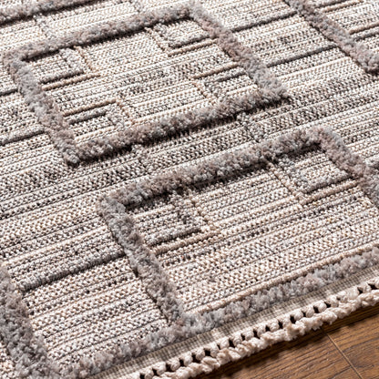 Surya Zaragoza ZRZ-2314 Charcoal Area Rug by LIVABLISS